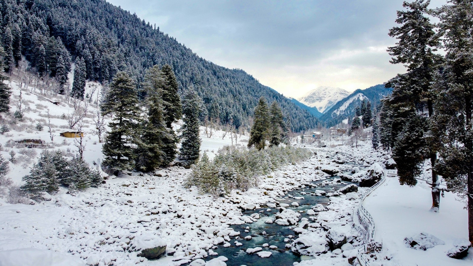 Snow Covered Ground